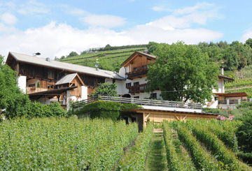 Weingut Strasserhof - Hannes Baumgartner - Brixen und Umgebung - #1 - suedtirol.info