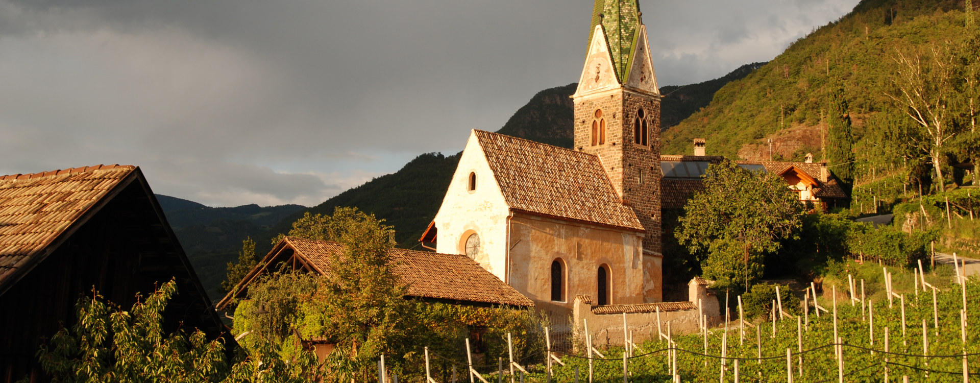 Messnerhof Winery - Bolzano/Bozen and environs - #1 - suedtirol.info