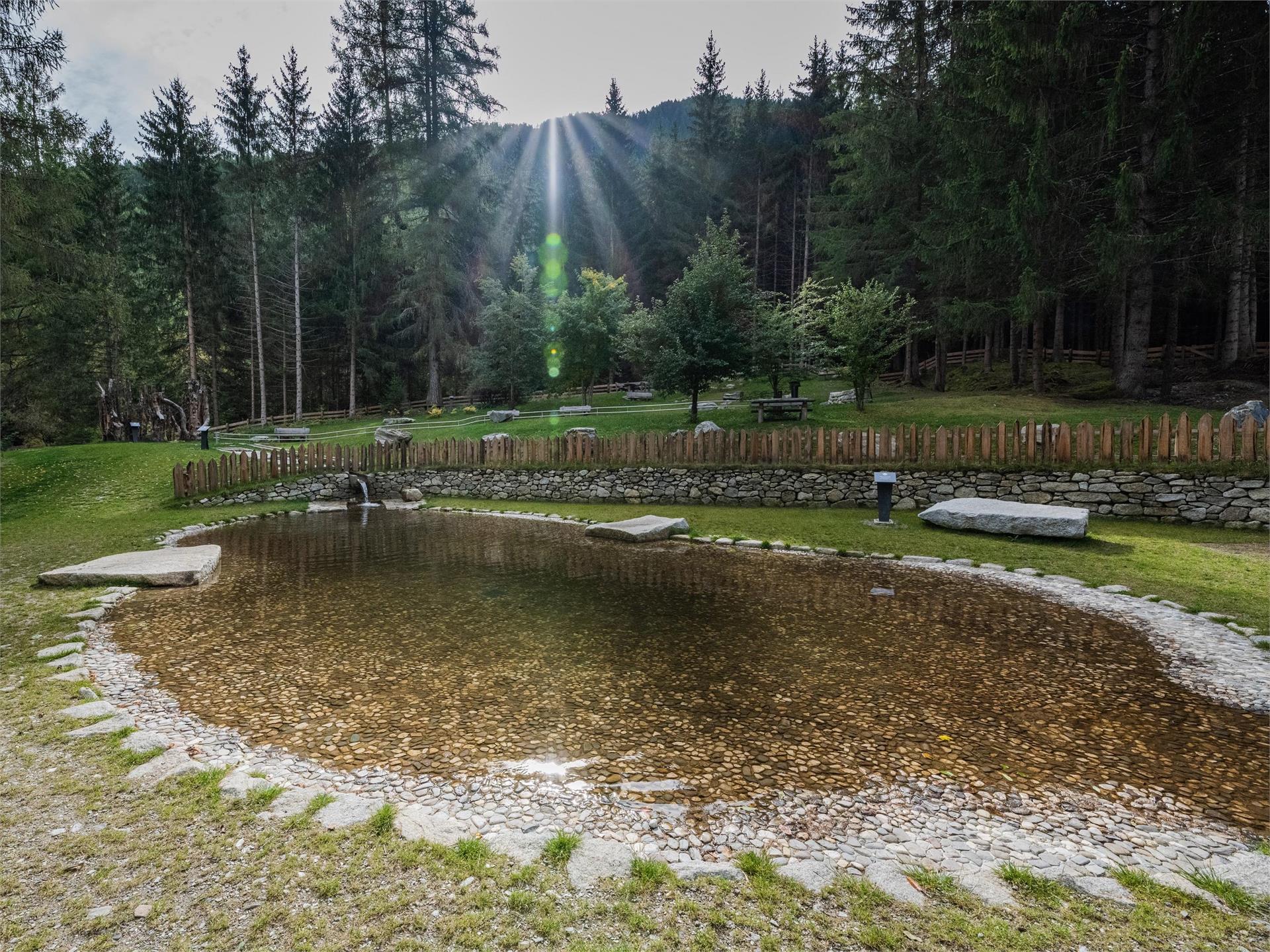 Percorso Kneipp a Santo Stefano San Lorenzo di Sebato 3 suedtirol.info