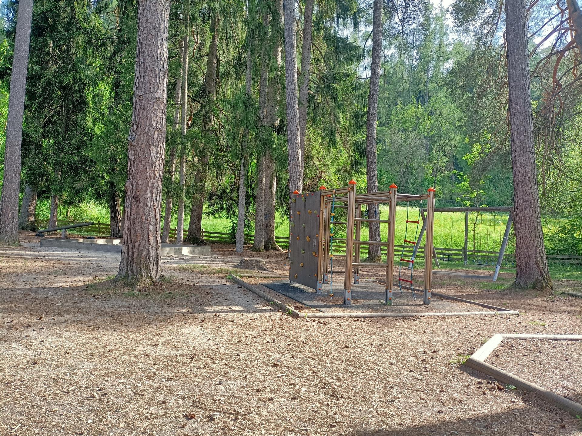 Parco giochi nel bosco Brunico 1 suedtirol.info