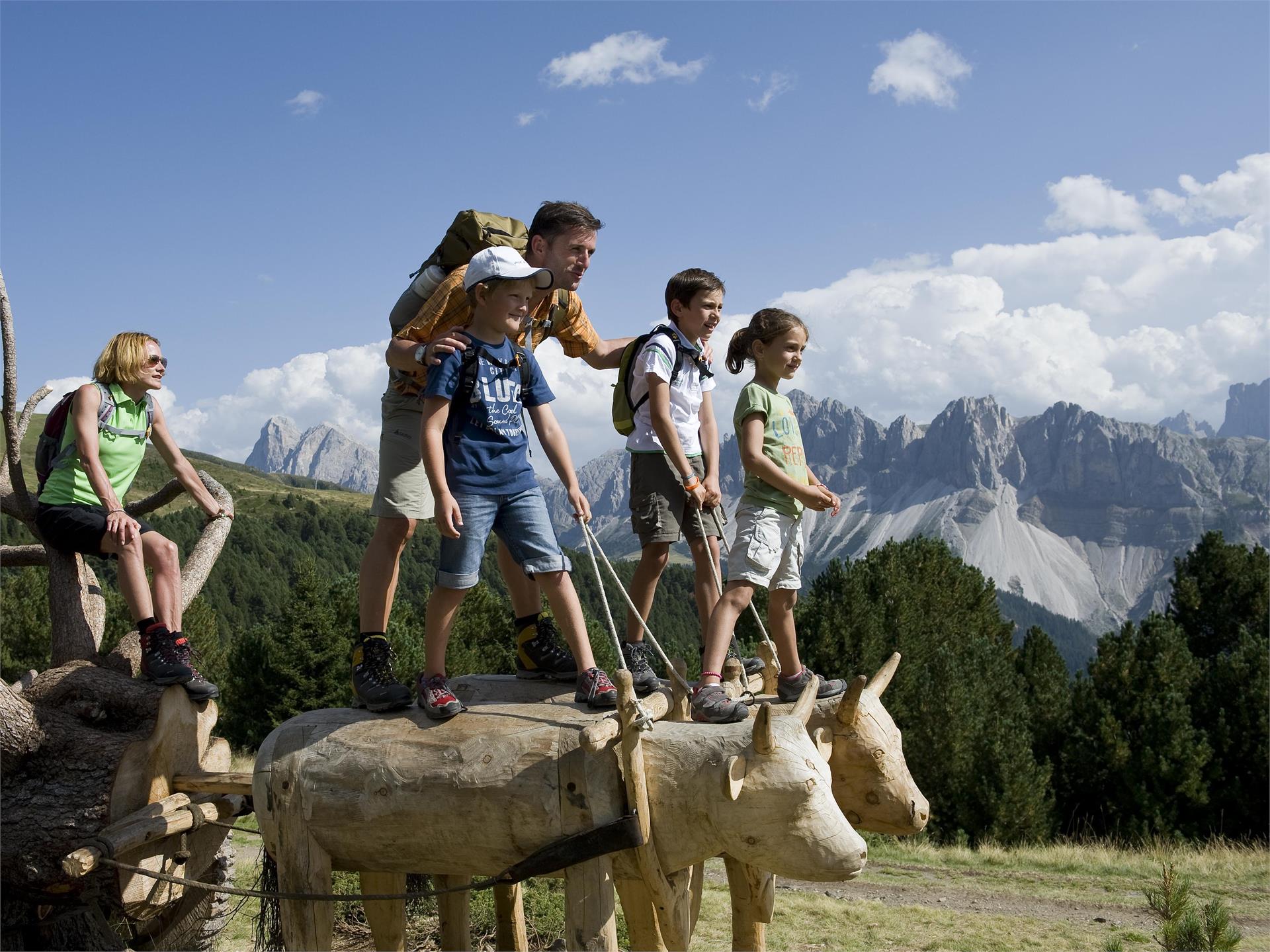 WoodyWalk - Plose Brixen 3 suedtirol.info