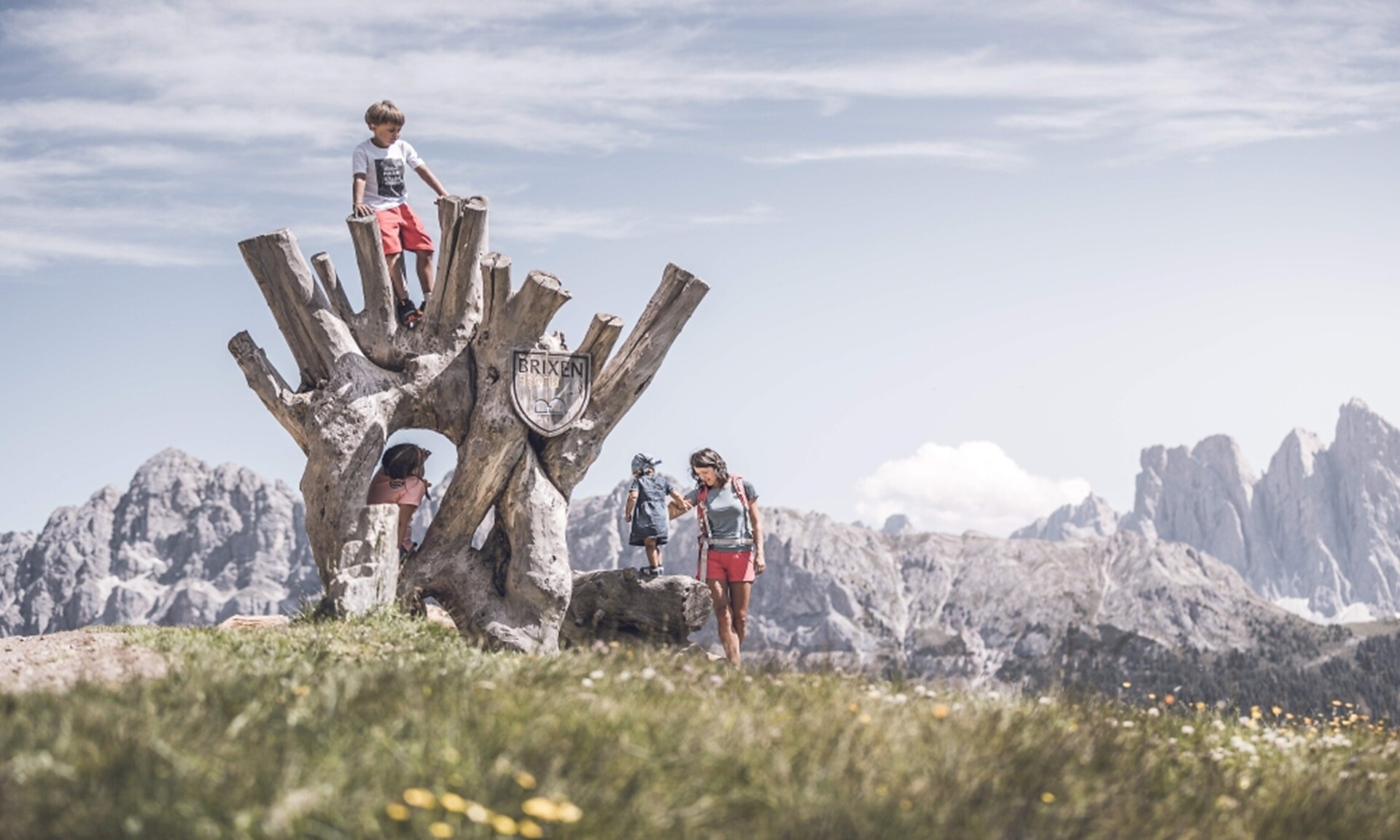 WoodyWalk - Plose Brixen 1 suedtirol.info