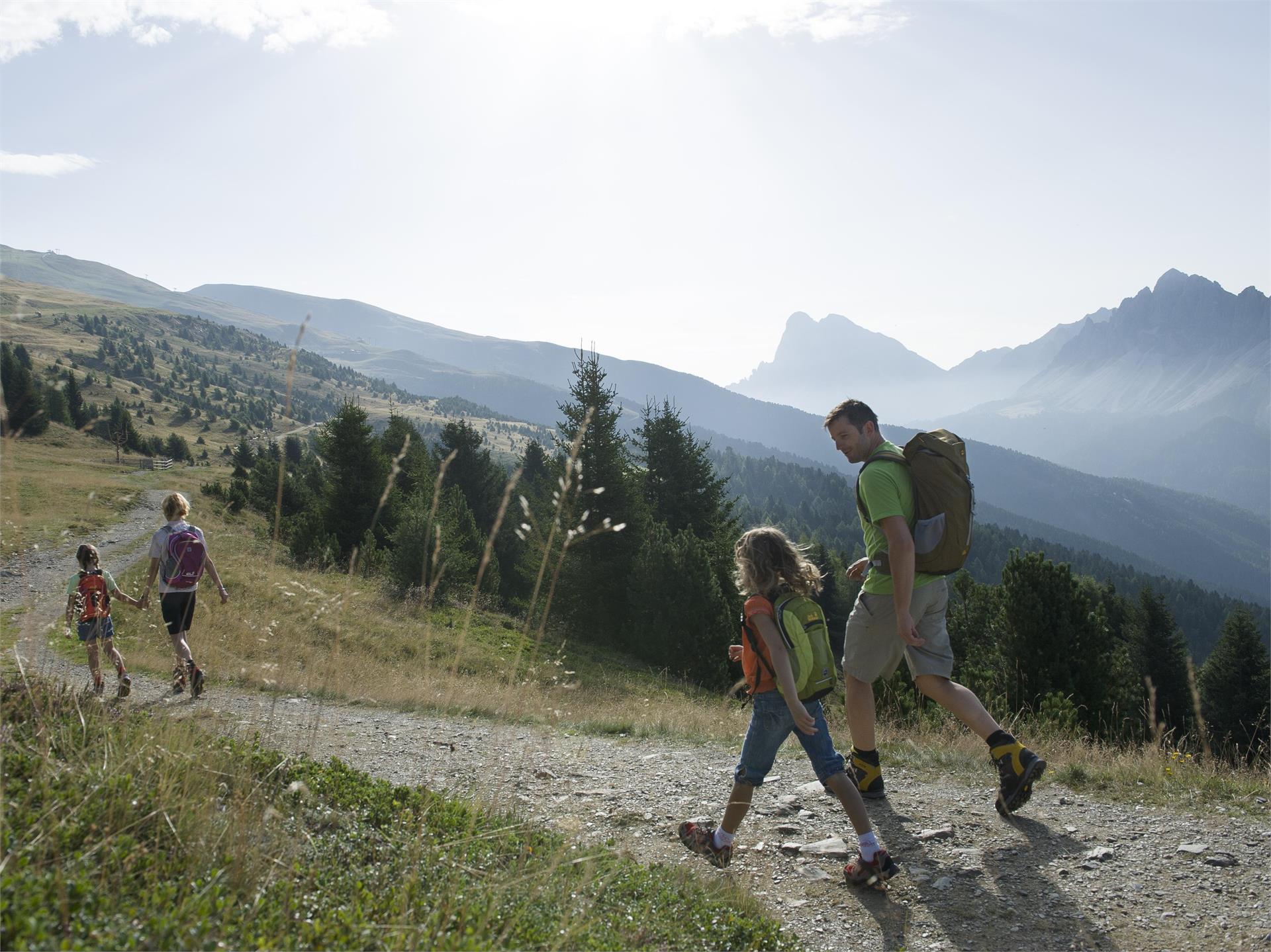 WoodyWalk - Plose Brixen 4 suedtirol.info