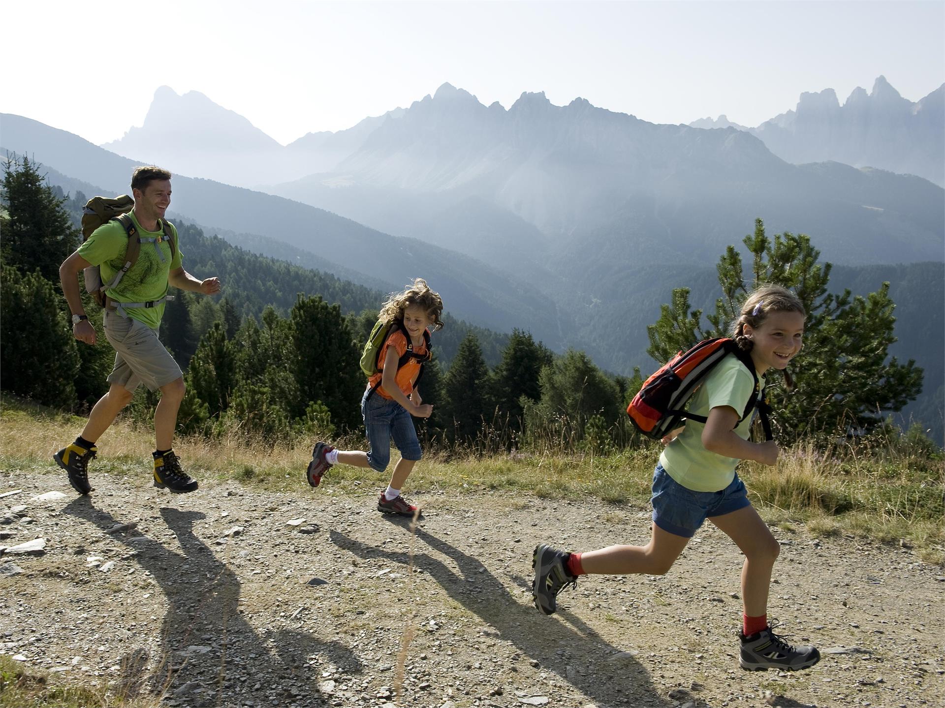 WoodyWalk - Plose Brixen 2 suedtirol.info
