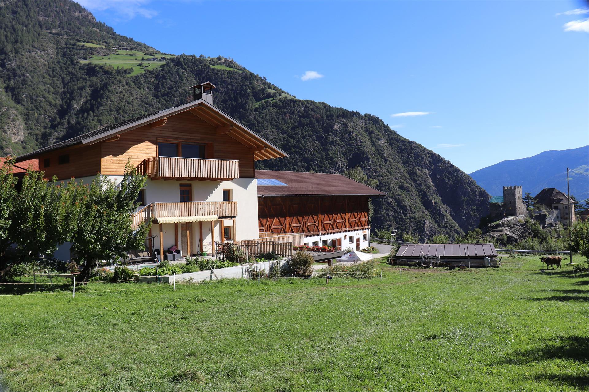 Weingut Oberschlossbauer Juval Kastelbell-Tschars 1 suedtirol.info