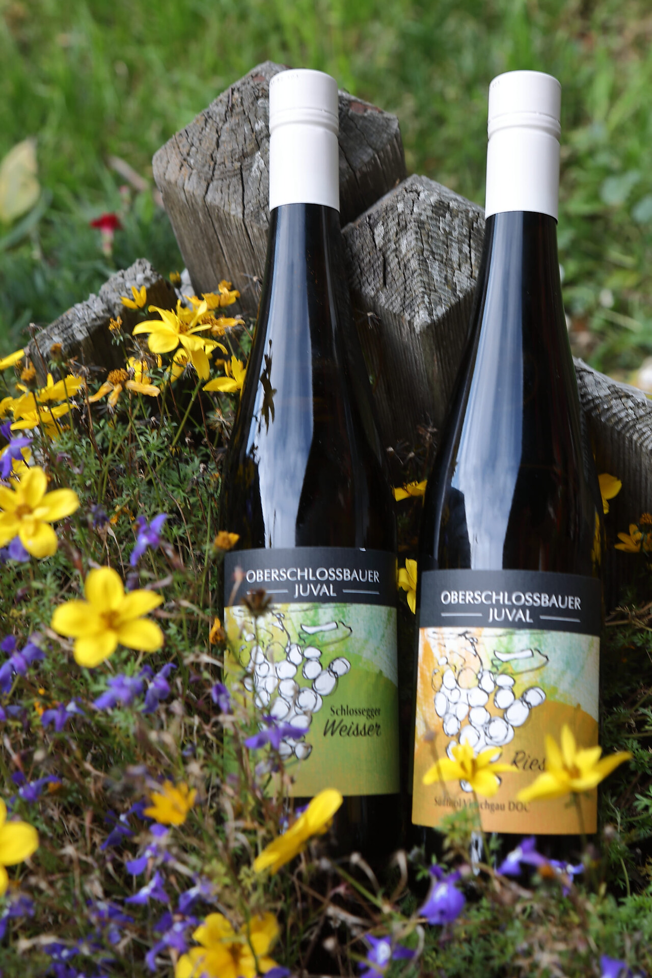 Winery Oberschlossbauer Juval