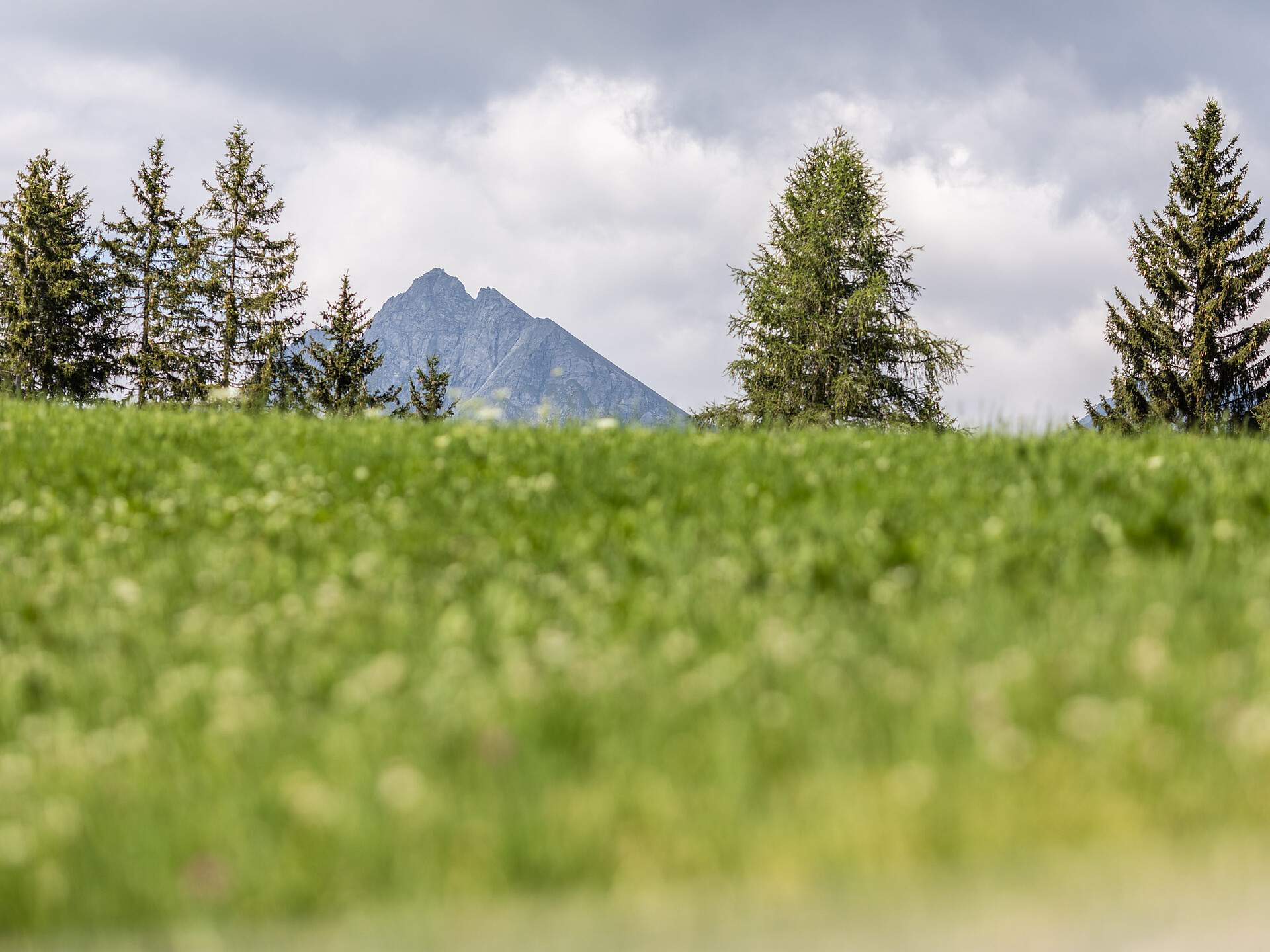 view on the Ifinger Peak above Meran 2000