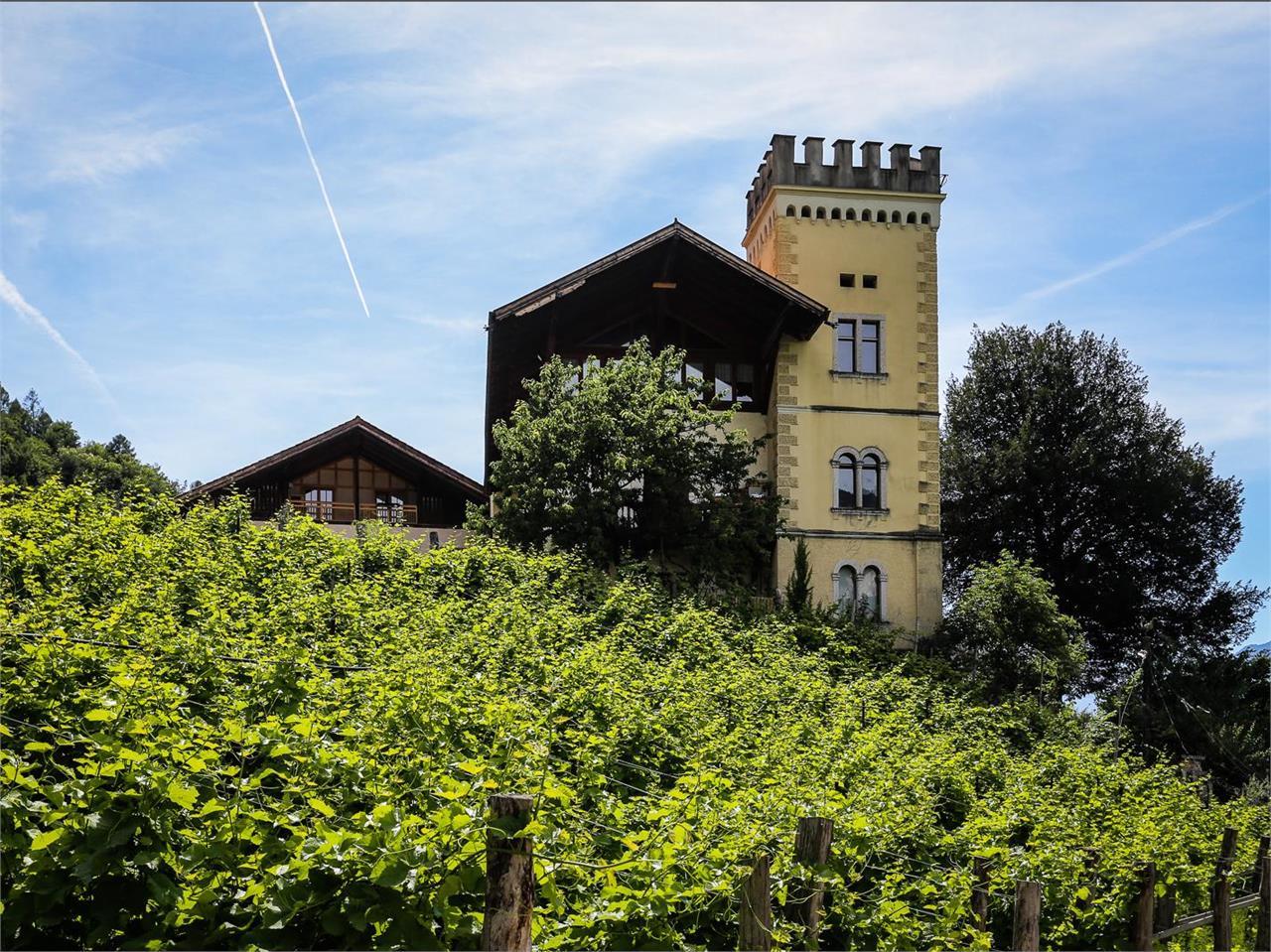 Tenuta Ansitz Dornach Salorno 1 suedtirol.info