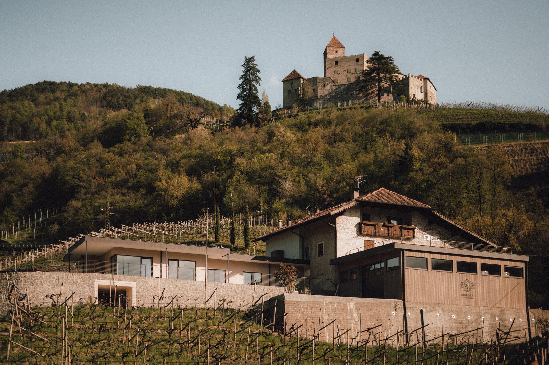 Azienda vinicola Pitzner Cornedo all'Isarco 1 suedtirol.info