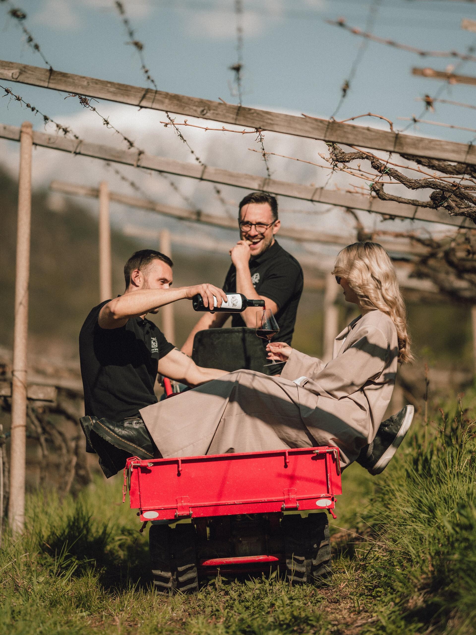 Azienda vinicola Pitzner Cornedo all'Isarco 2 suedtirol.info