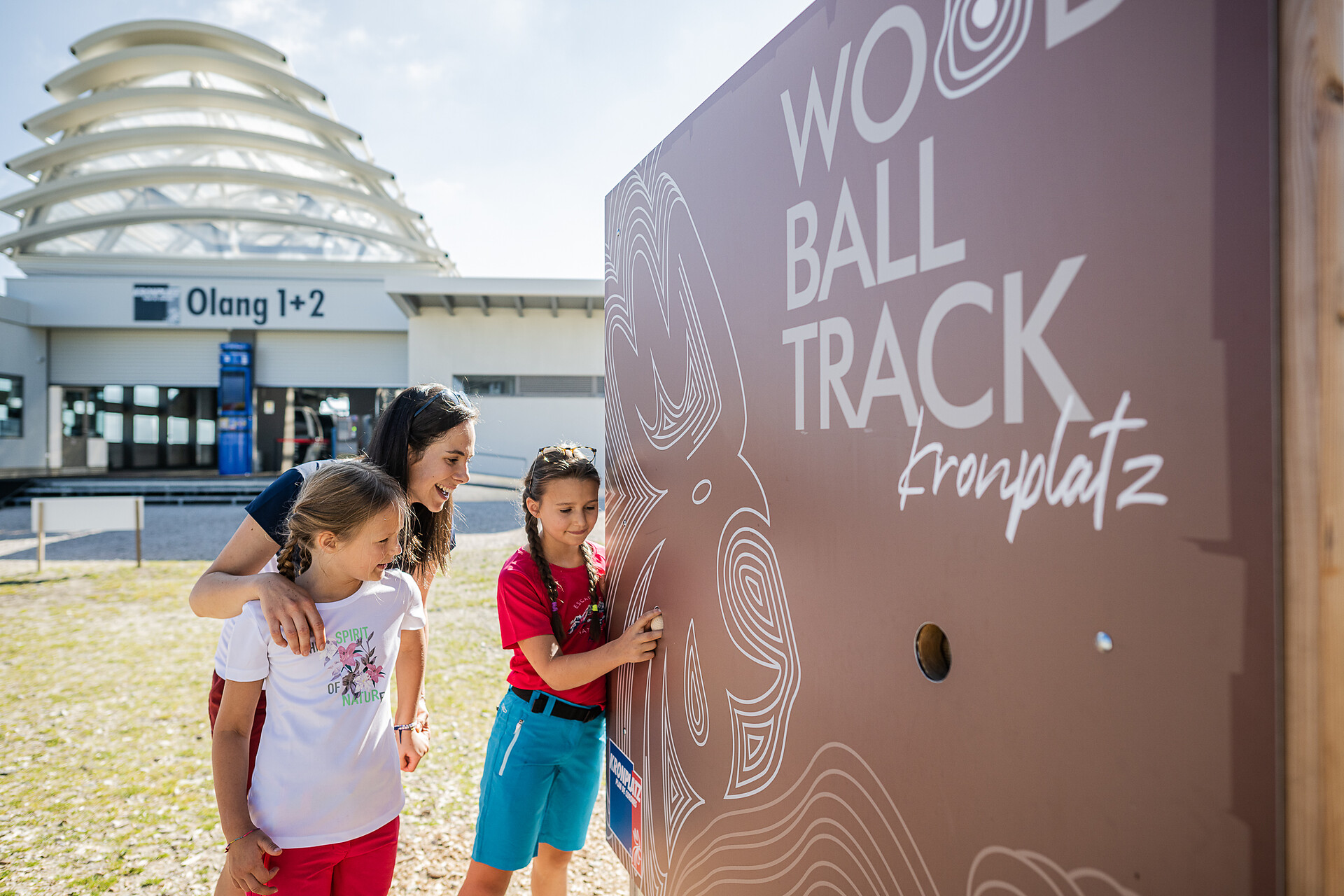 Wood Ball Track