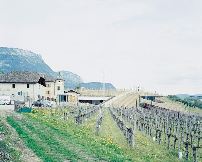 Manincor Winery Kaltern an der Weinstraße/Caldaro sulla Strada del Vino 5 suedtirol.info
