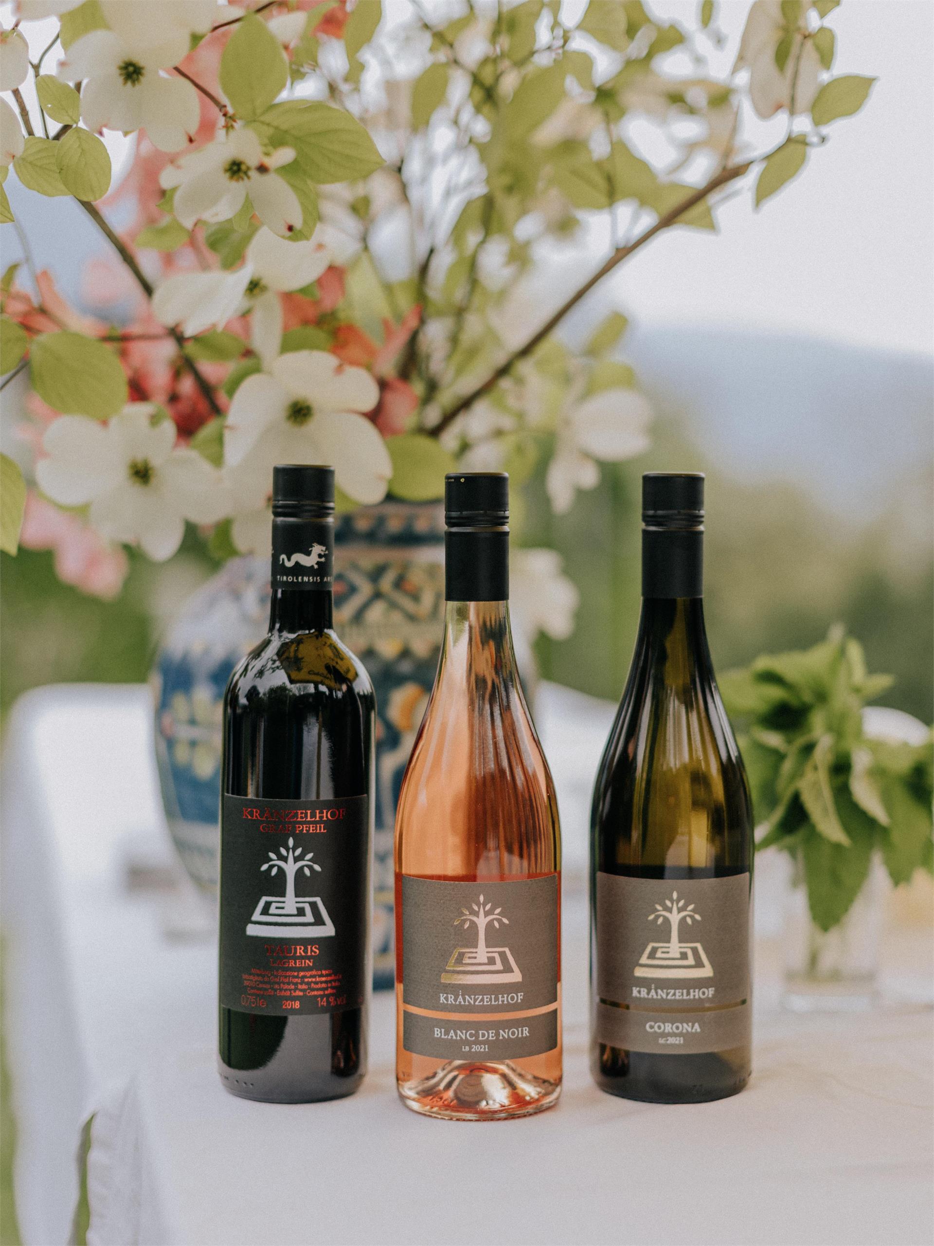 Wein, Gärten, Kunst, Kulinarik Tscherms 2 suedtirol.info