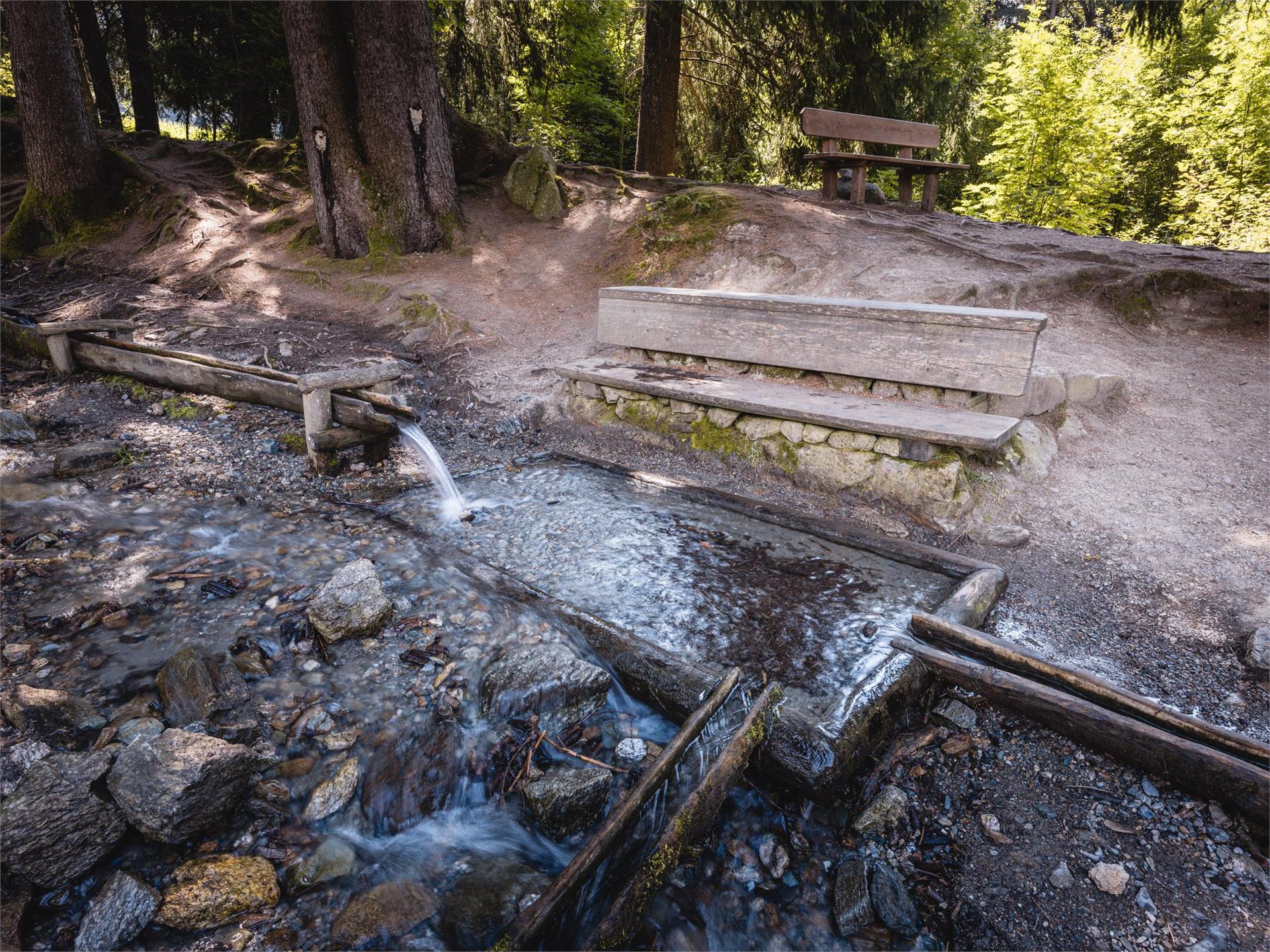 Bosco con giochi d'acqua Rasun Anterselva 5 suedtirol.info