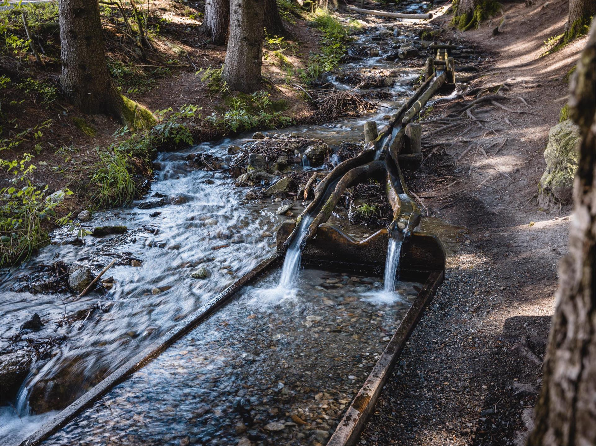 Bosco con giochi d'acqua Rasun Anterselva 3 suedtirol.info