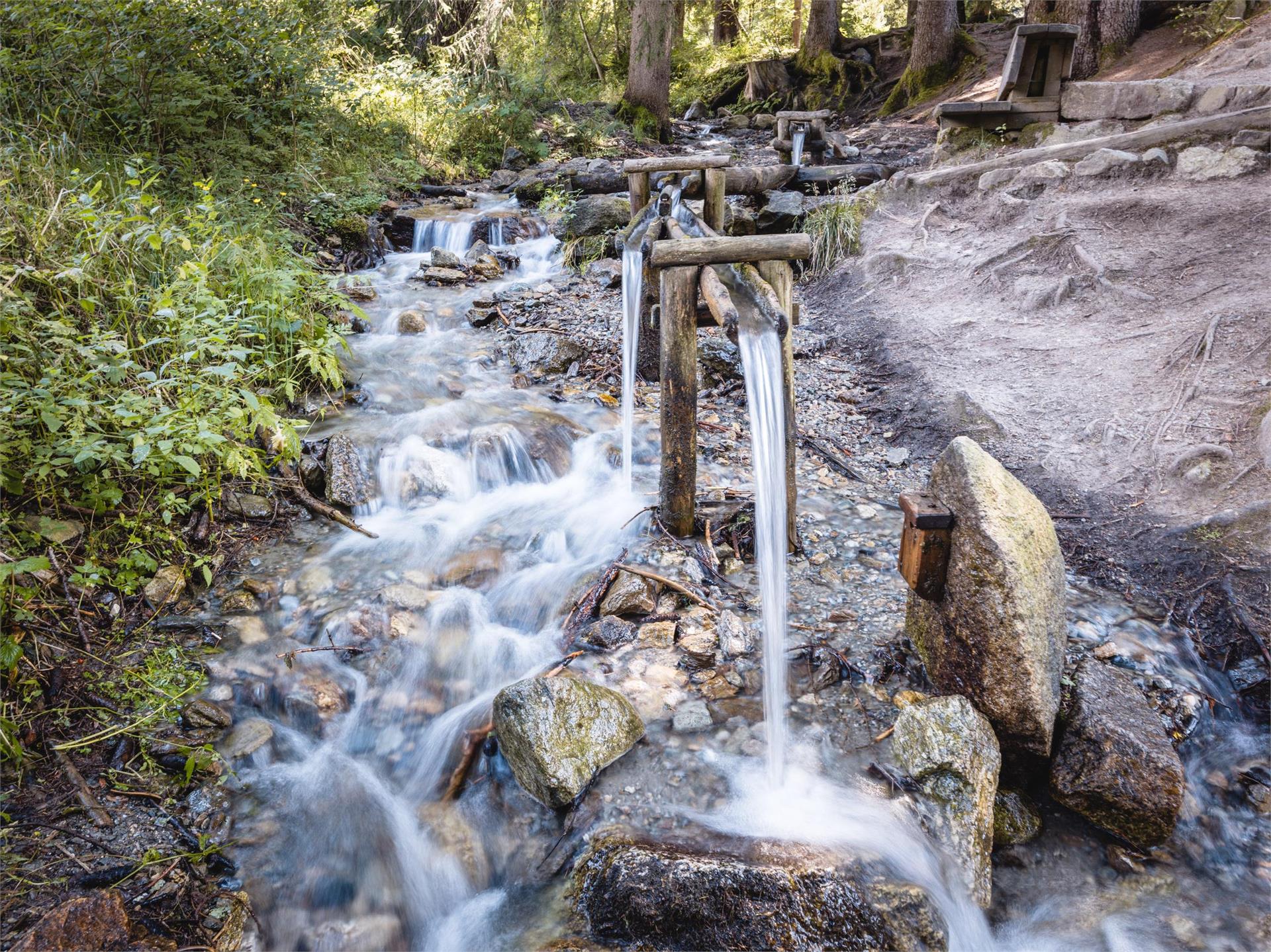 Bosco con giochi d'acqua Rasun Anterselva 4 suedtirol.info