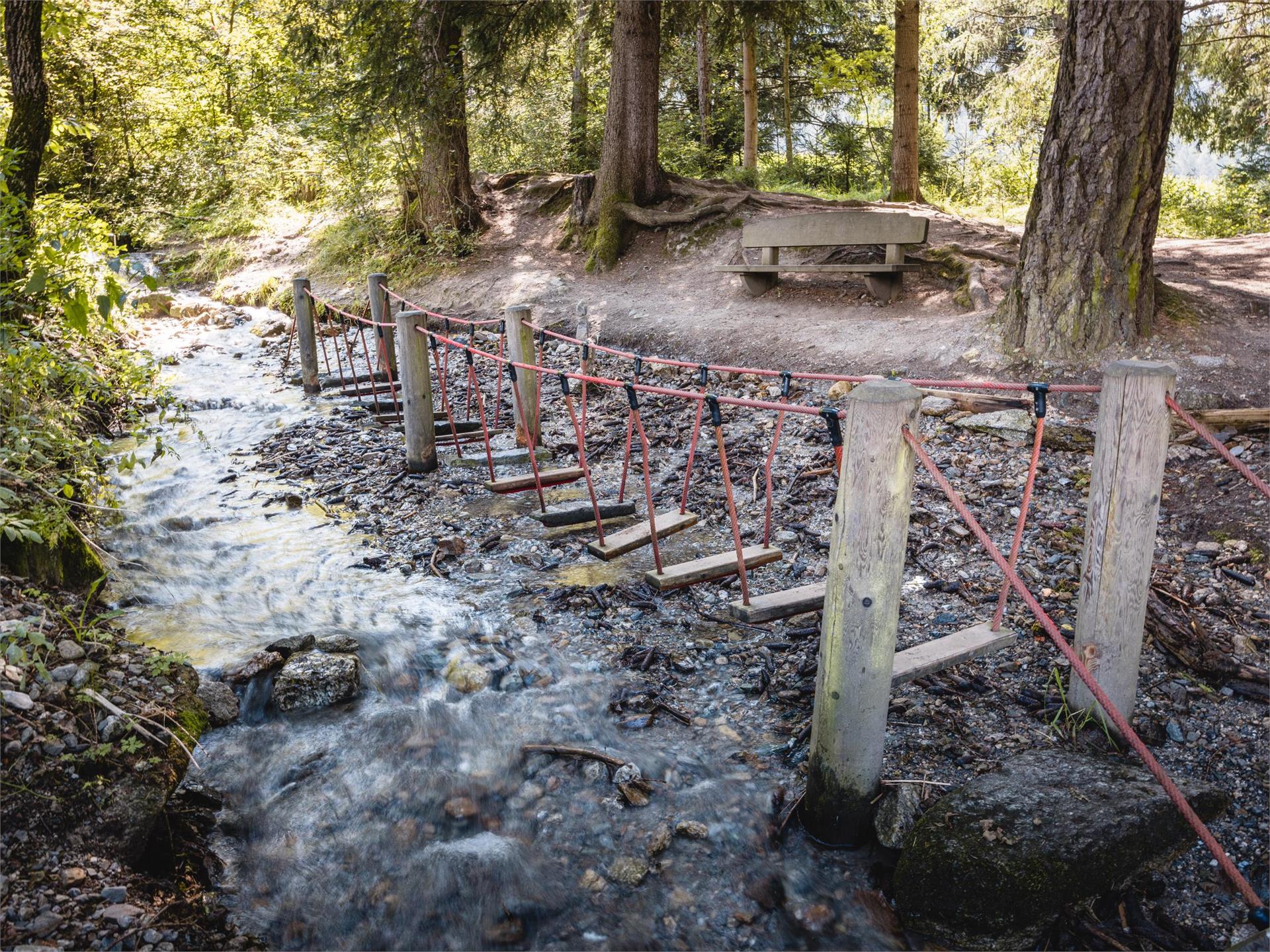 Bosco con giochi d'acqua Rasun Anterselva 2 suedtirol.info