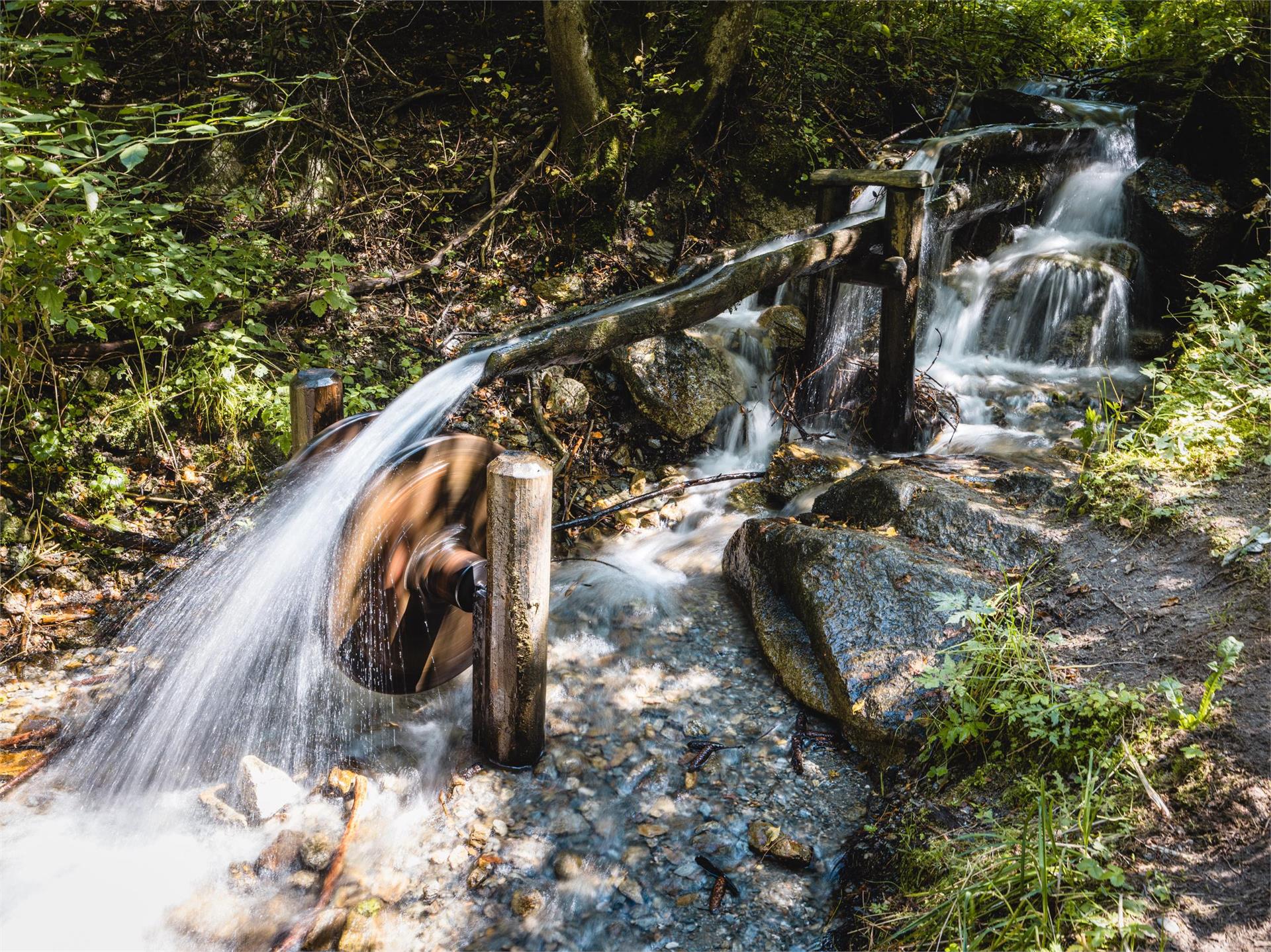 Bosco con giochi d'acqua Rasun Anterselva 6 suedtirol.info