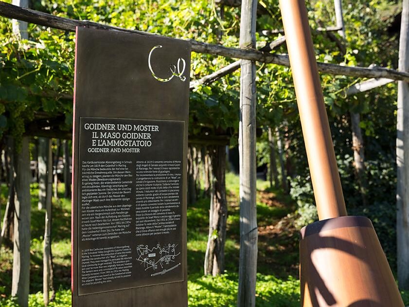 The WineCulturePath and its giant
