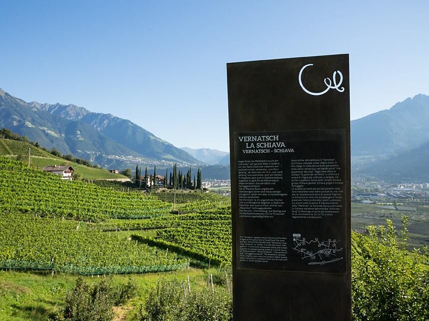 beautiful view along the WineCulturePath