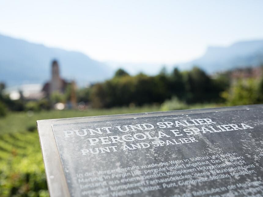 beautiful view along the WineCulturePath