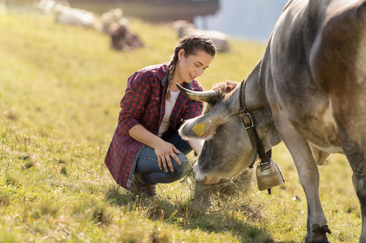 Darf nur nach Rücksprache mit dem IDM Produktmanager Milch verwendet werden. / Da utilizzare solo in accordo con il Product Manager Latte di IDM. / To be used only after agreement with the IDM Product Manager for Milk.