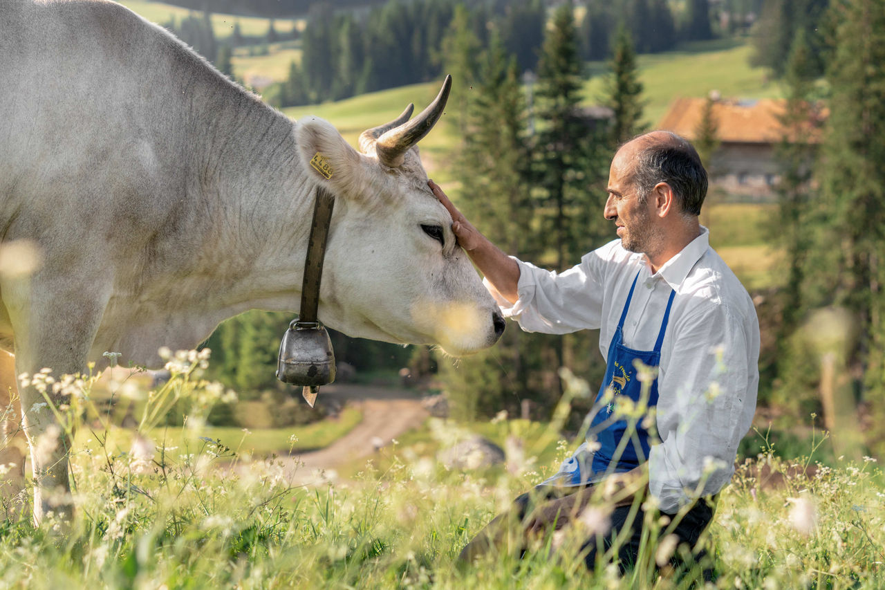 Darf nur nach Rücksprache mit dem IDM Produktmanager Milch verwendet werden. / Da utilizzare solo in accordo con il Product Manager Latte di IDM. / To be used only after agreement with the IDM Product Manager for Milk.