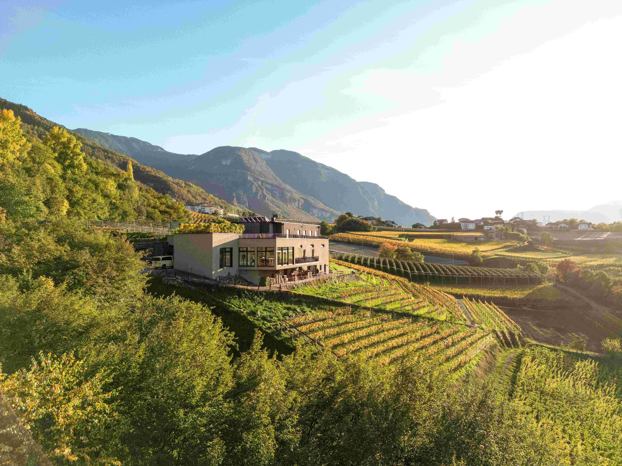 Weingut Pfitscher