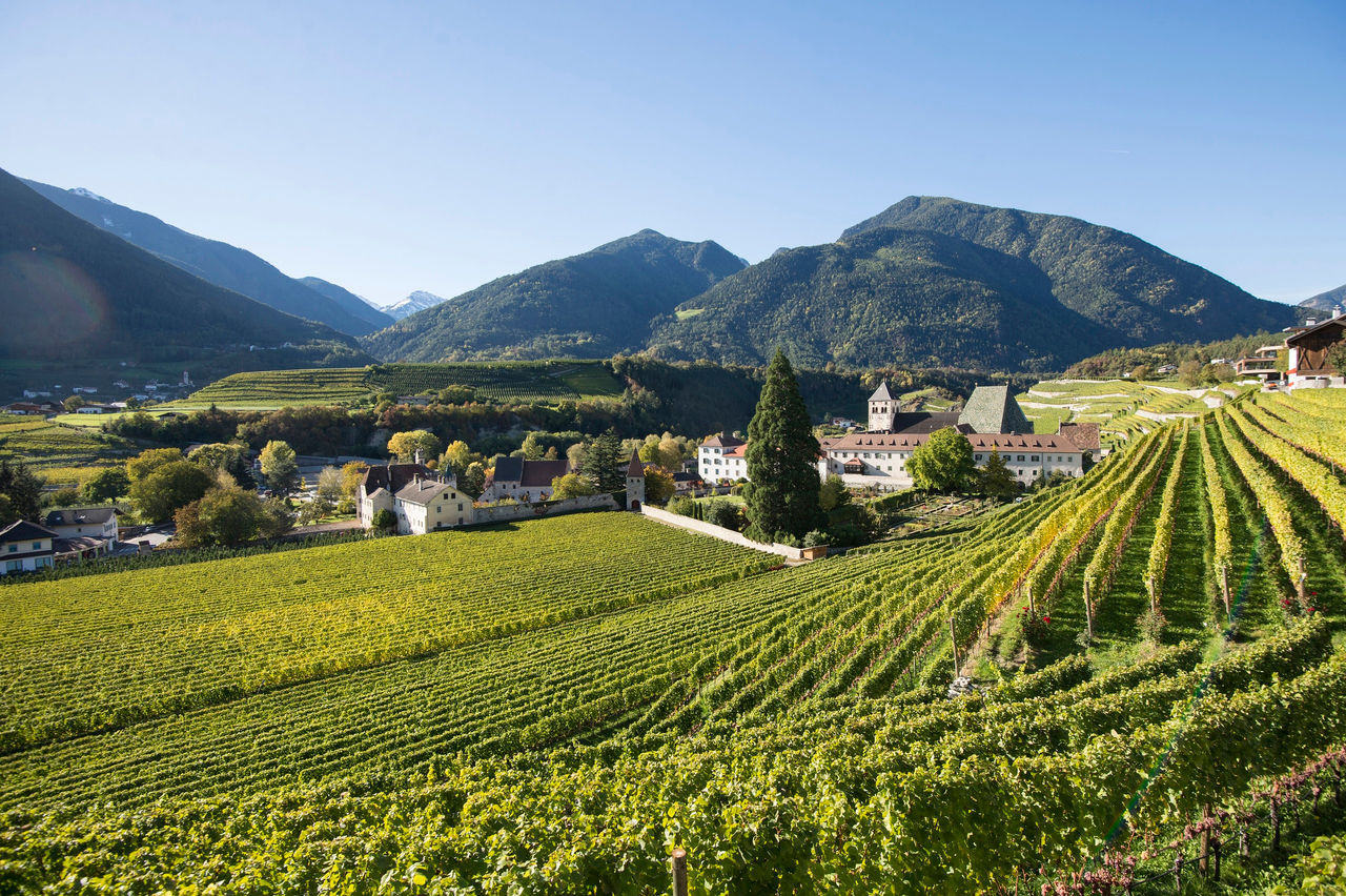 Das Kloster Neustift umgeben von Weinreben im Herbstlicht