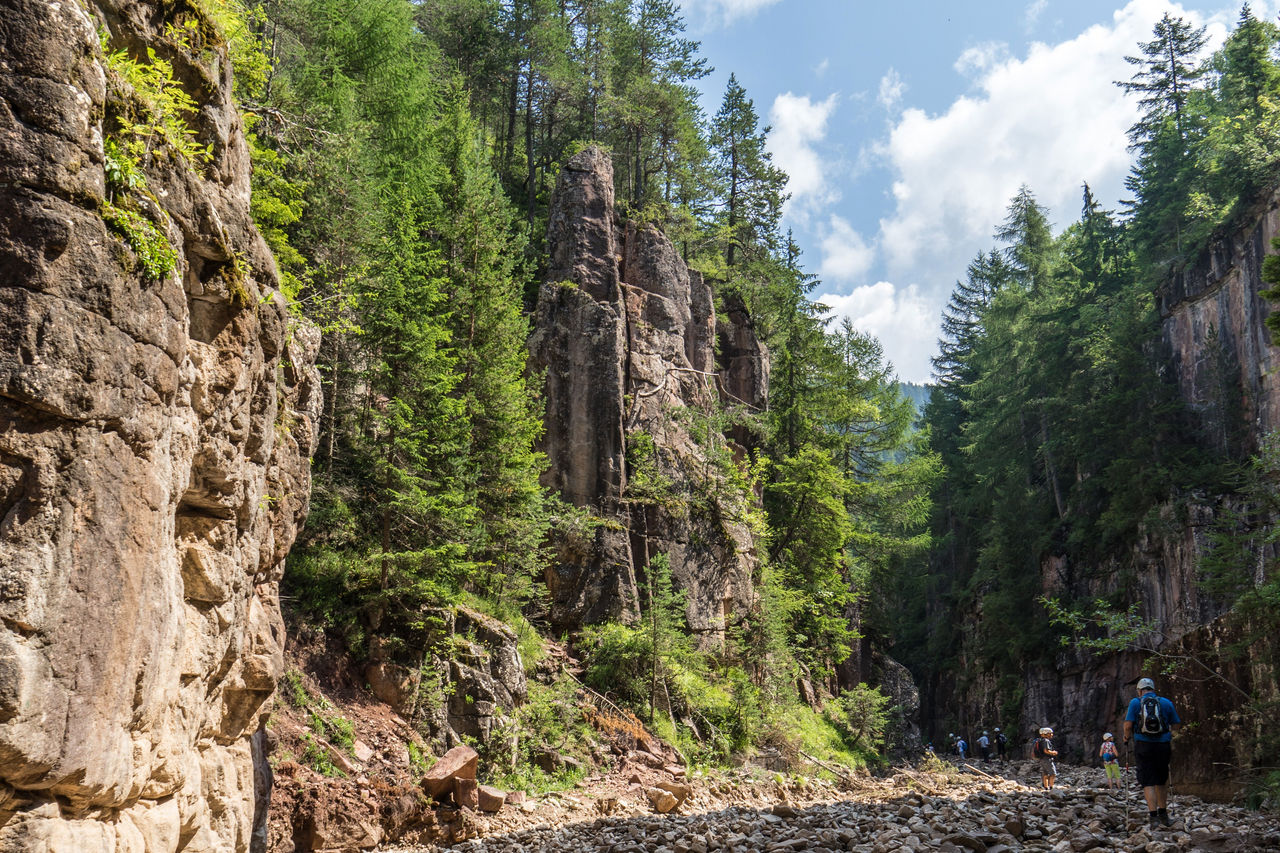 View on the nature in Bletterbach