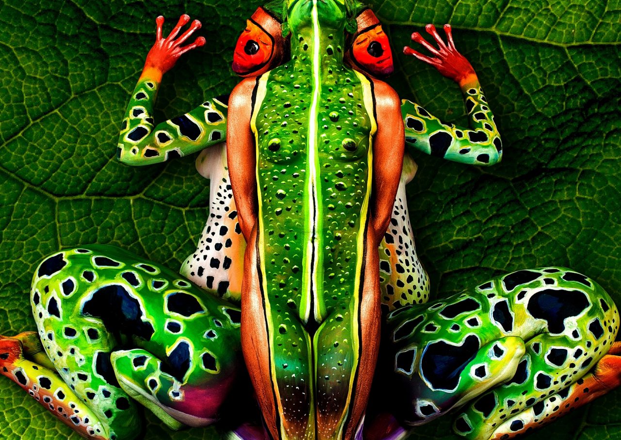 Das Kunstwerk "The Frog" von Johannes Stötter: Erst auf den zweiten Blick sind die komplett bemalten Körper dreier Frauen zu erkennen, die zusammen einen Frosch ergeben.