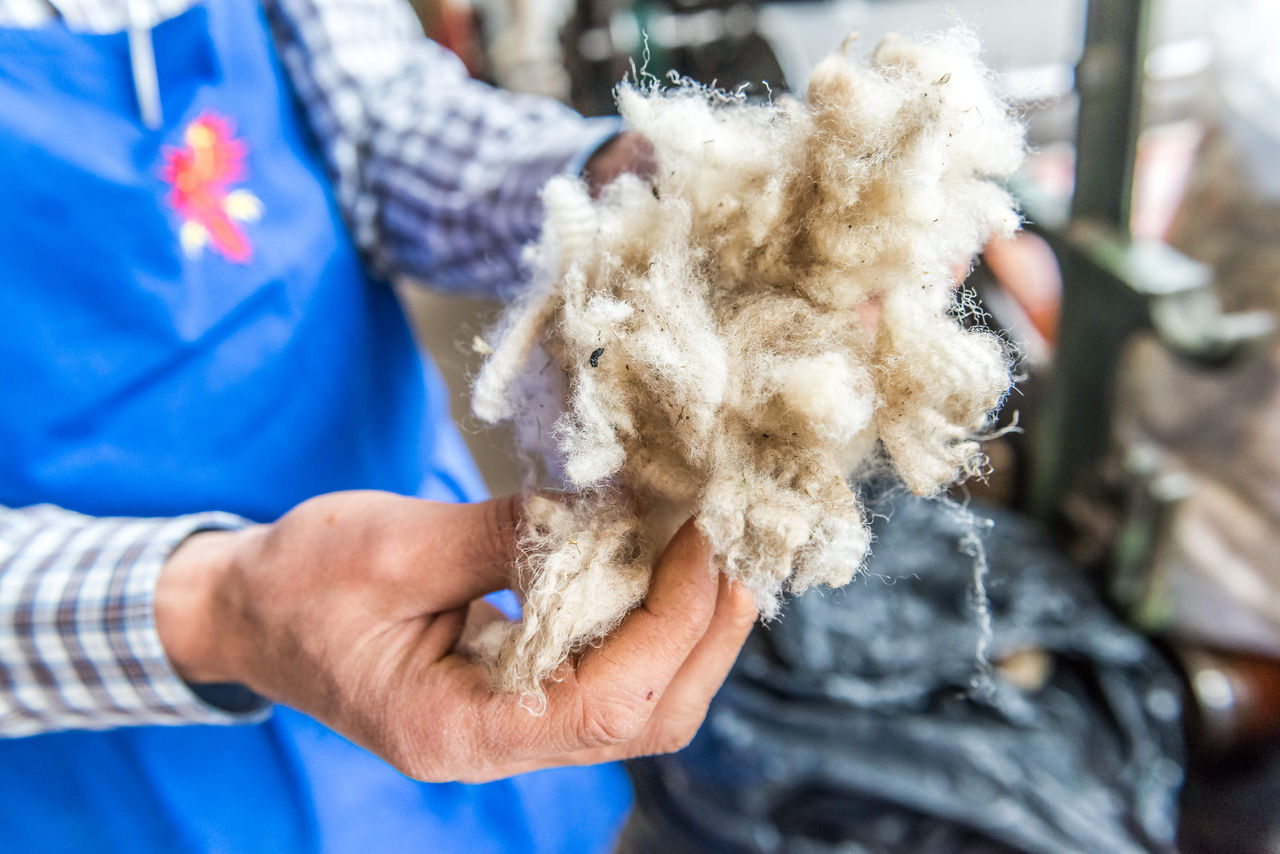 Someone touching wool