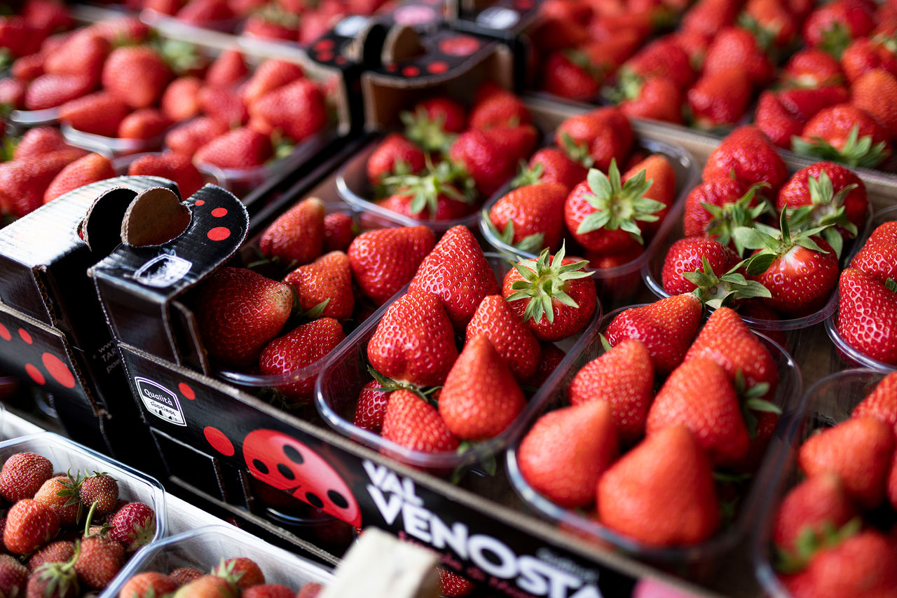 Several packages of South Tyrolean strawberries