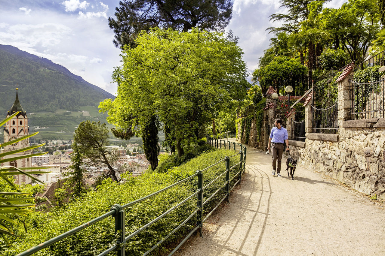 Ein Mann geht mit seinem Hund auf einer Promenade oberhalb der Altstadt von Meran Gassi.