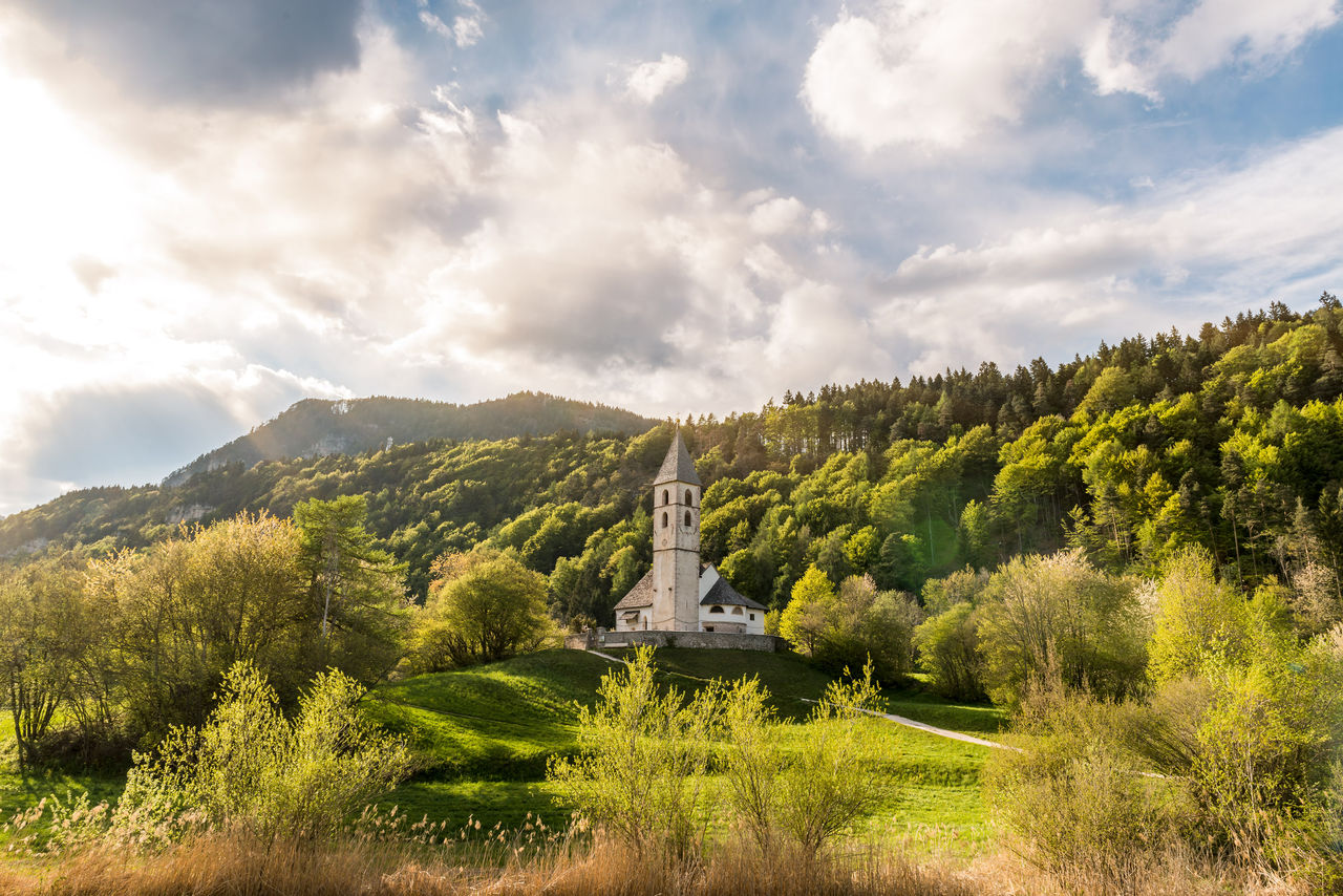 Blick auf die Kirche Fennberg umgeben von Wald  im Sonneschein