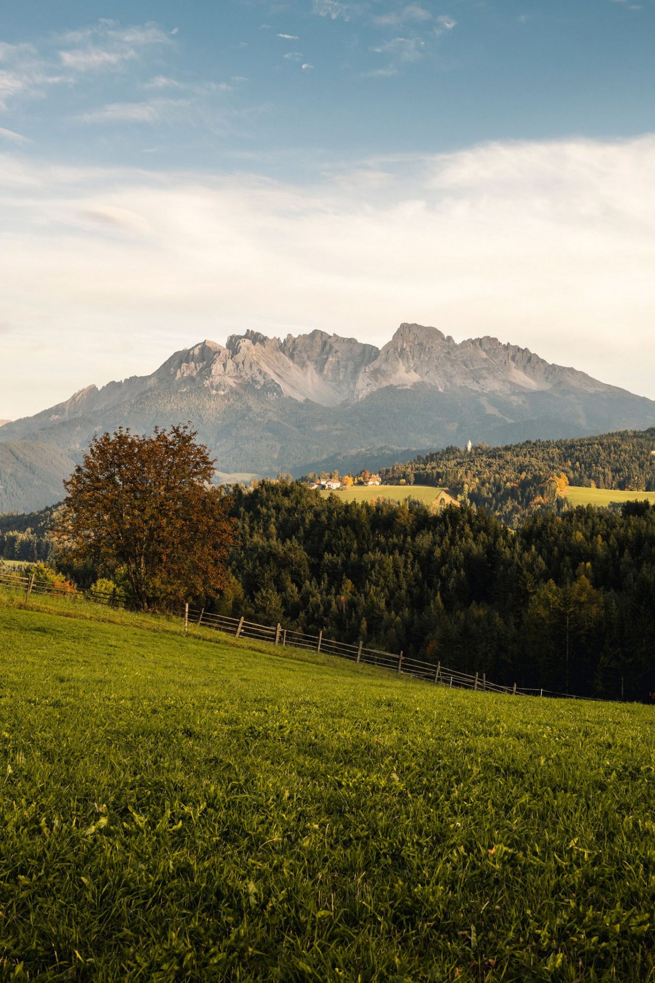 Grüne Wiese mit Weidezaun, Wald zu Füßen des Bergmassivs Latemar