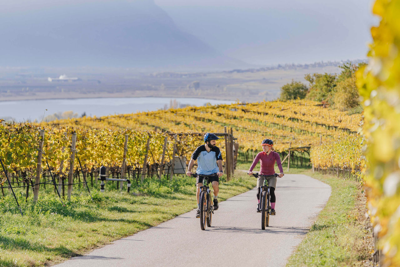 2 Radfahrer im Herbst mit dem Kalterer See im Hintergrund