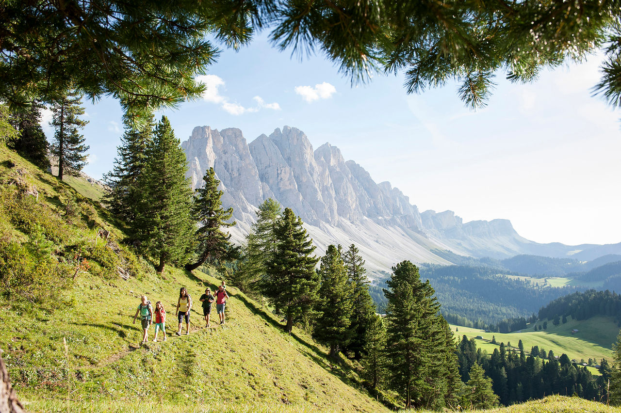 Eine GRuppe wandert im Naturpark Puez Geisler bei Sonnenschein