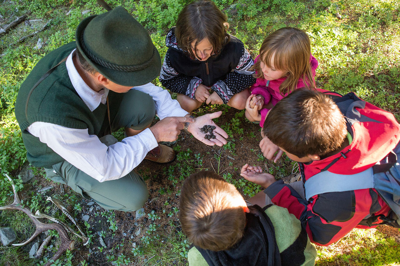 Ein Erwachsener erklärt vier Kindern die Natur