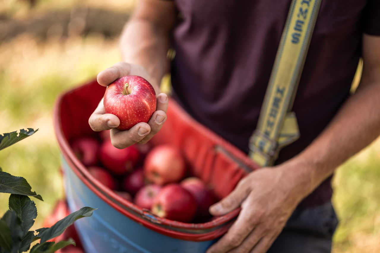 Apfel, Bauer, IDM, Kampagne, Landschaft, Landwirtschaft, Sommer, meran, werbung