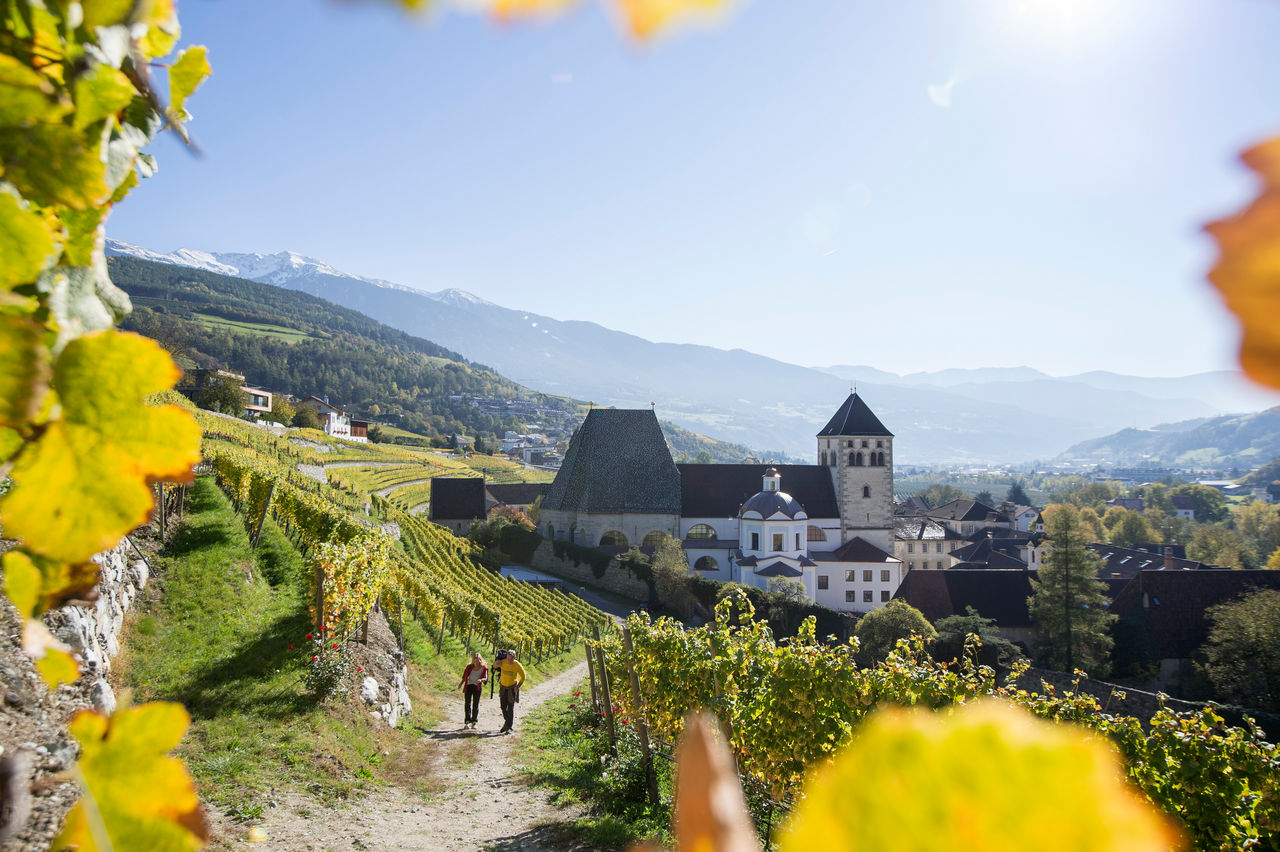 Zwei Wanderer durchqueren eine sonnenverwÃ¶hnte Rebanlage im Herbst vor dem Kloster Neustift