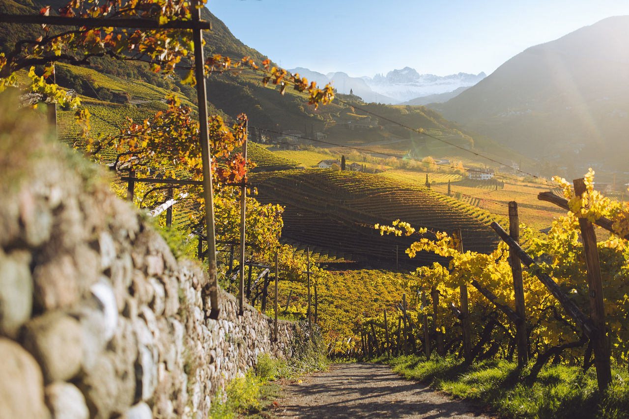 Countryside,  Nature,  Outdoors