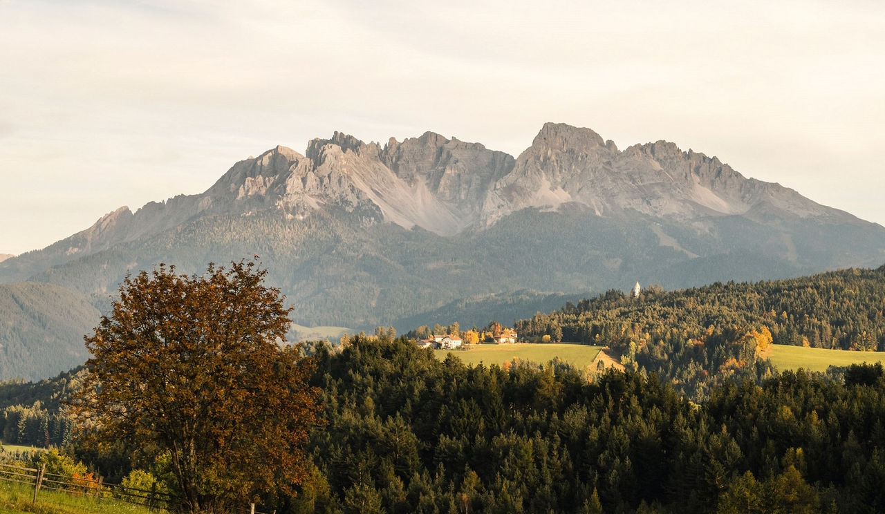 Grüne Wiese mit Weidezaun, Wald zu Füßen des Bergmassivs Latemar
